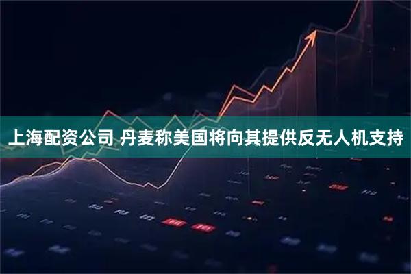 上海配资公司 丹麦称美国将向其提供反无人机支持