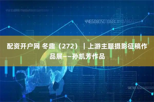 配资开户网 冬趣（272）｜上游主题摄影征稿作品展——孙凯芳作品