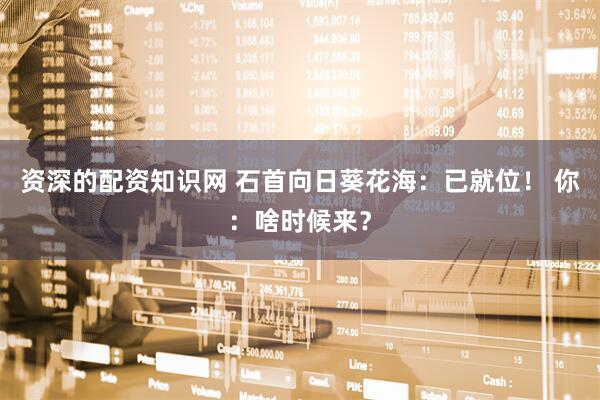 资深的配资知识网 石首向日葵花海：已就位！ 你：啥时候来？